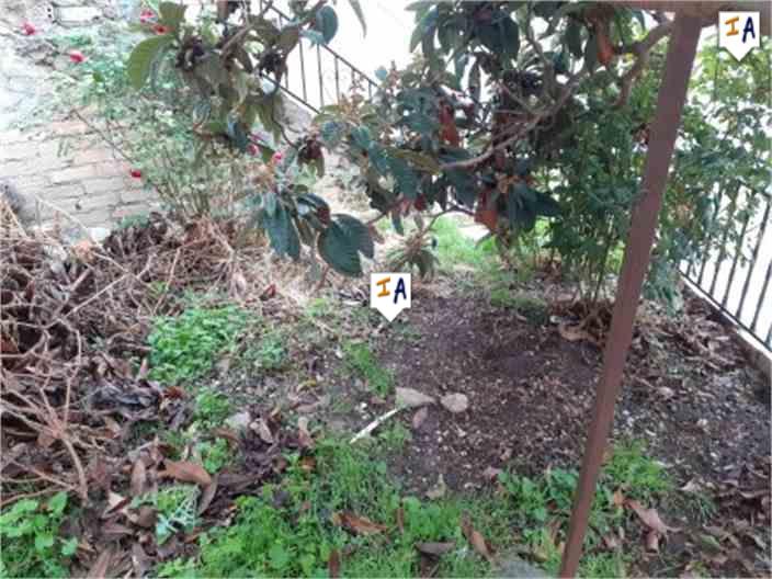 Image No.5-4 Bed House for sale