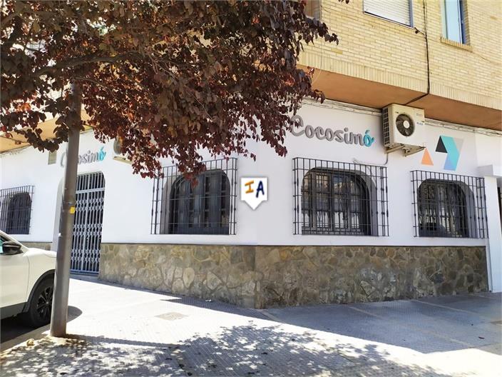 Image No.13-Commercial for sale