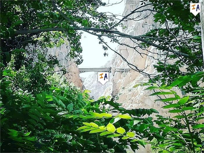 Image No.12-5 Bed House for sale