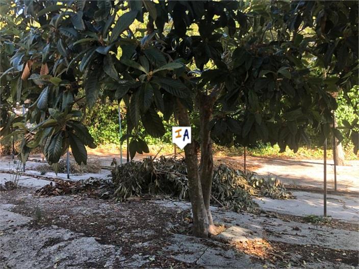 Image No.14-3 Bed Farmhouse for sale