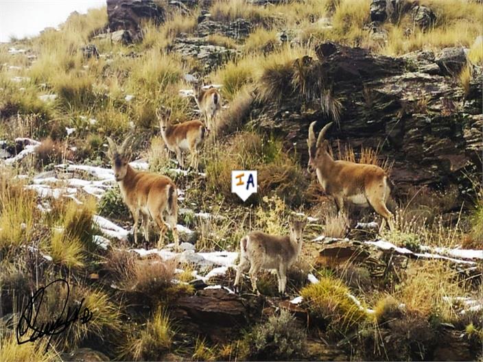 Image No.16-1 Bed Property for sale