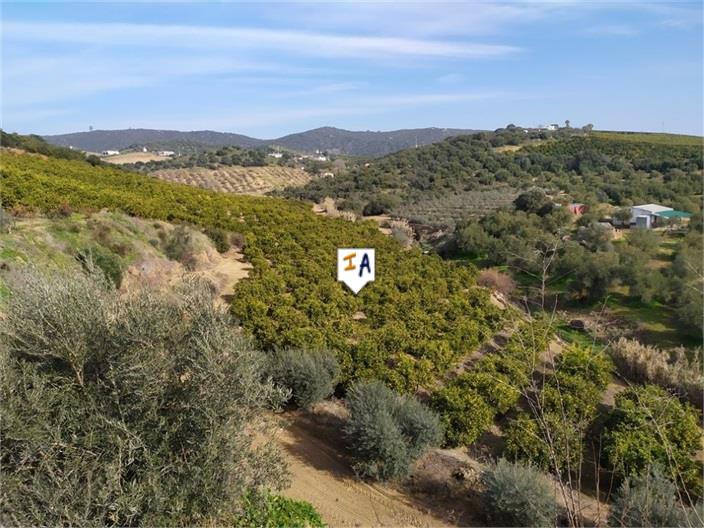 Image No.14-2 Bed House for sale