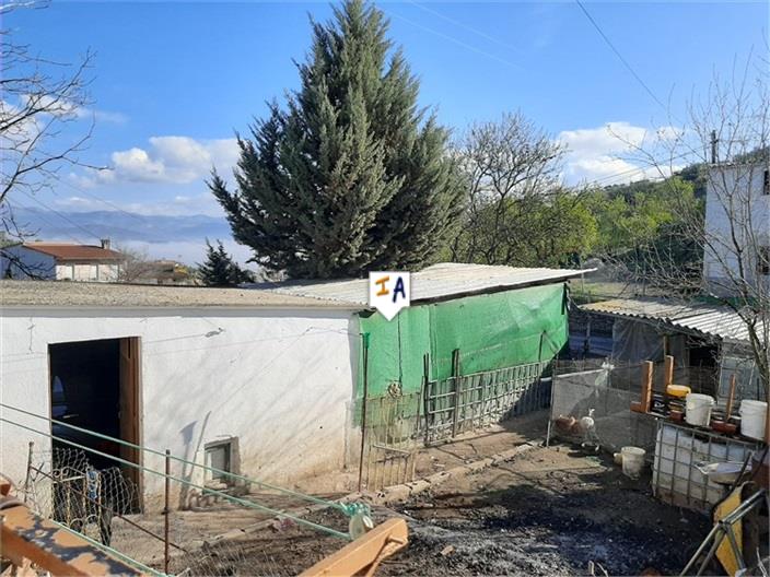 Image No.5-4 Bed House for sale