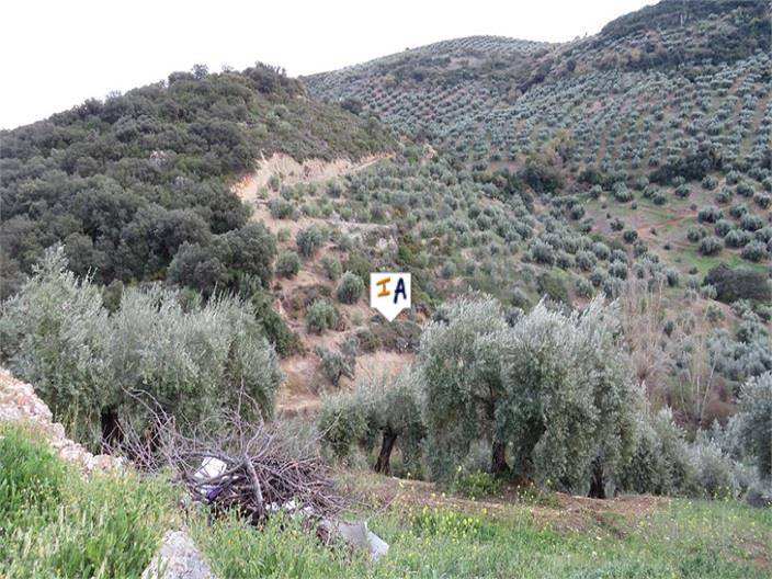 Image No.3-4 Bed Farmhouse for sale