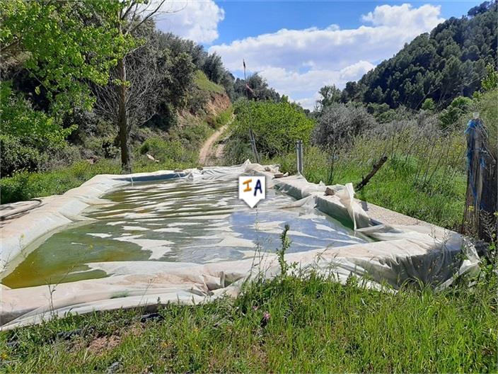 Image No.3-Land for sale