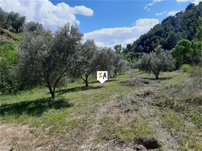 Image No.4-Land for sale