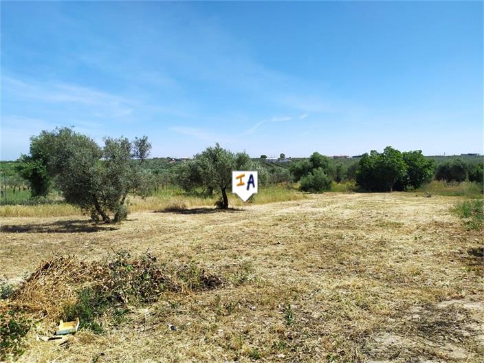 Image No.10-2 Bed House for sale