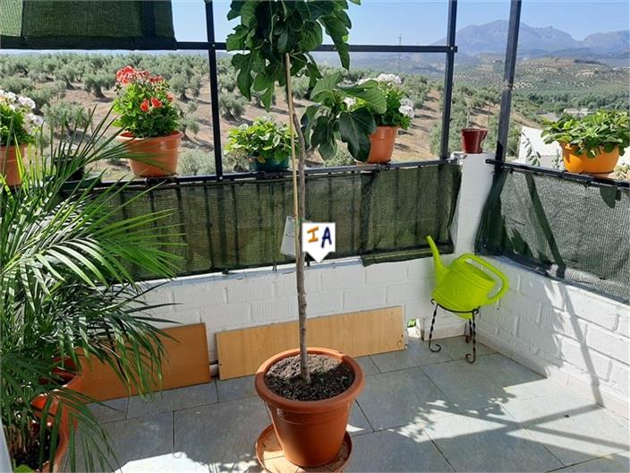 Image No.8-4 Bed House for sale