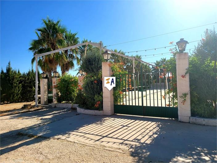 Image No.4-2 Bed Commercial for sale