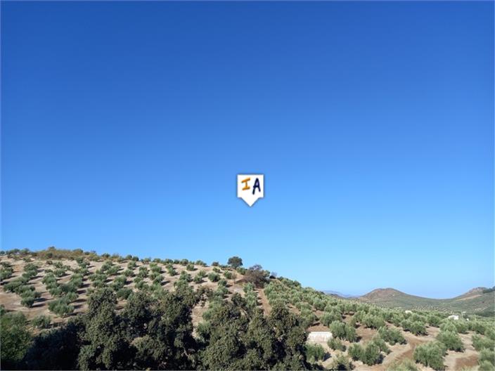 Image No.11-5 Bed House for sale