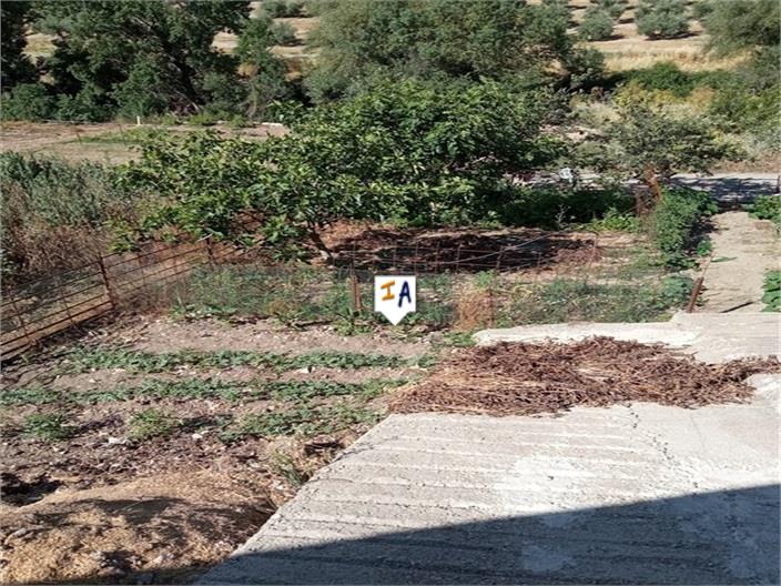 Image No.3-5 Bed House for sale