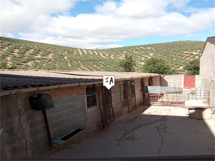 Image No.4-5 Bed House for sale