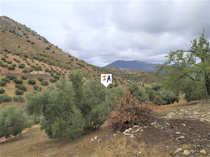 Image No.10-1 Bed Farmhouse for sale