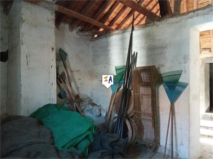 Image No.3-4 Bed House for sale