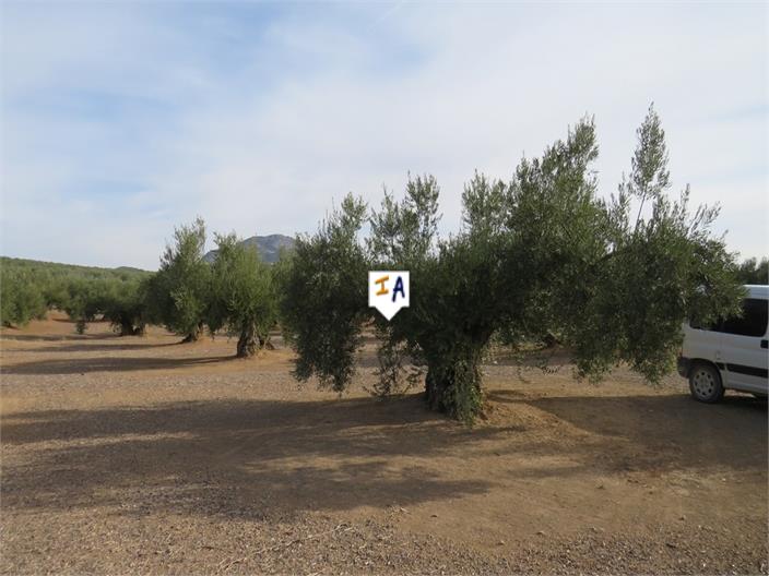 Image No.6-Land for sale