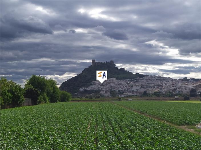 Image No.12-2 Bed House for sale