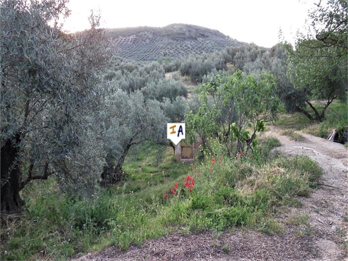 Image No.3-3 Bed Farmhouse for sale