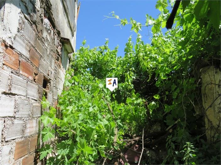 Image No.17-3 Bed Farmhouse for sale