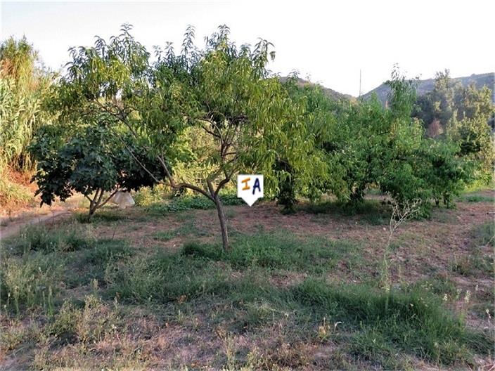 Image No.15-3 Bed Farmhouse for sale