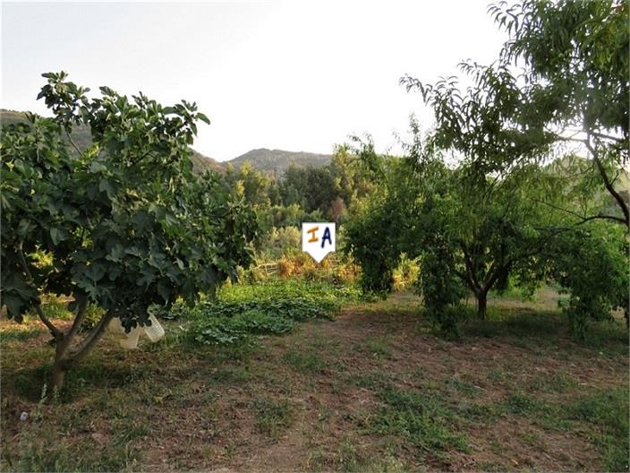 Image No.17-3 Bed Farmhouse for sale