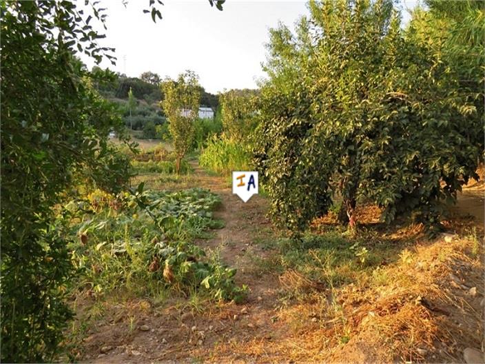 Image No.4-3 Bed Farmhouse for sale