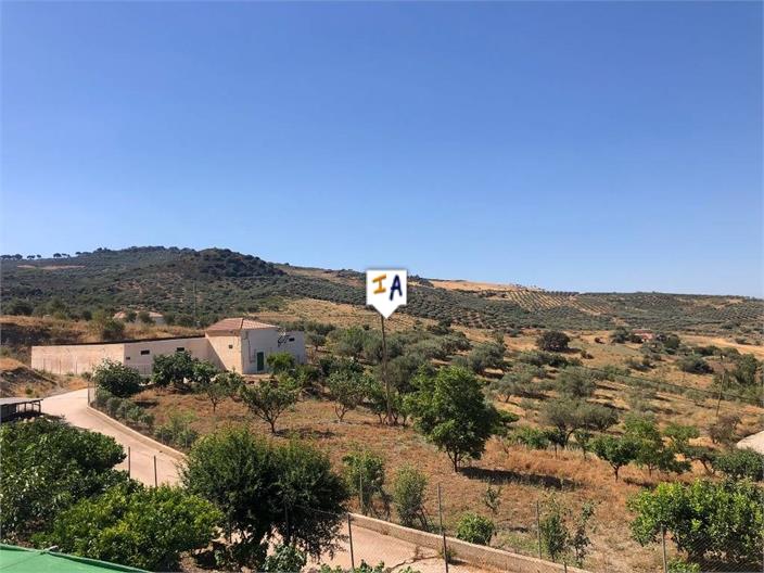 Image No.15-4 Bed House for sale