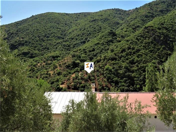 Image No.16-5 Bed Farmhouse for sale