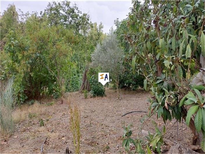 Image No.6-5 Bed House for sale