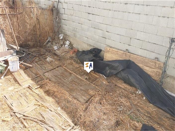 Image No.3-2 Bed House for sale