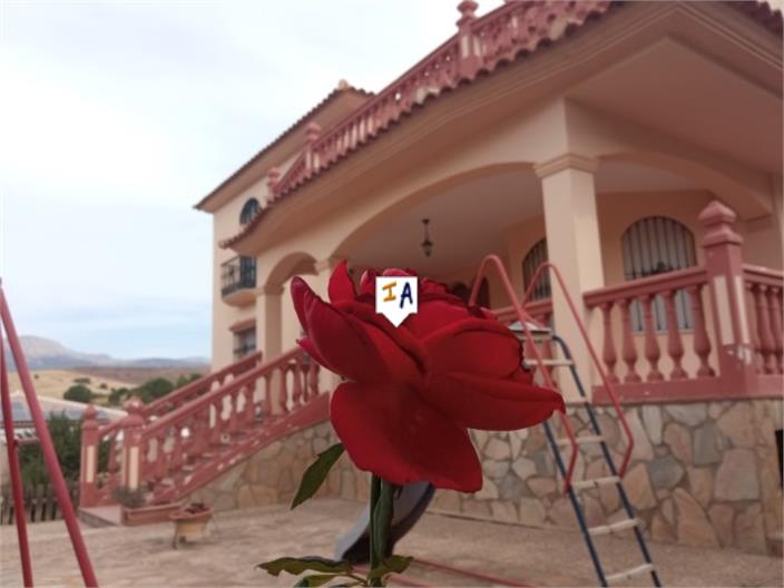 Image No.3-8 Bed Villa for sale