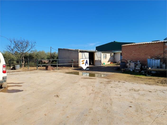 Image No.4-3 Bed Finca for sale