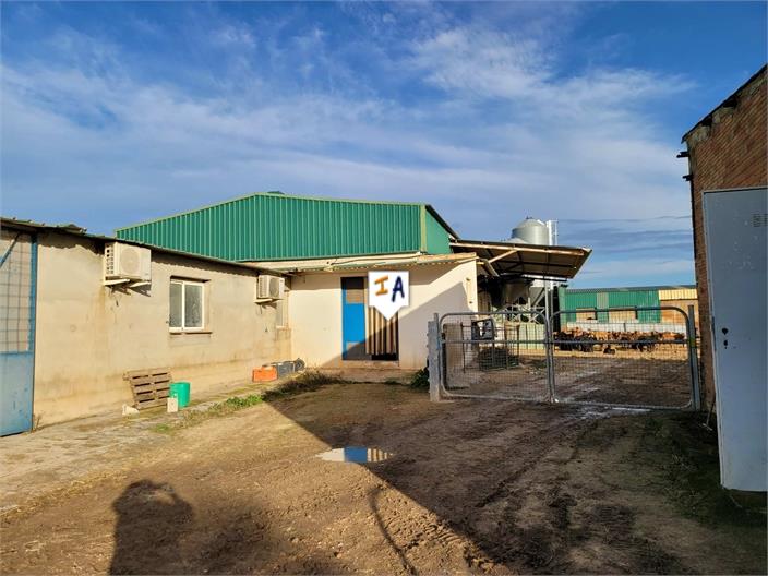 Image No.6-3 Bed Finca for sale