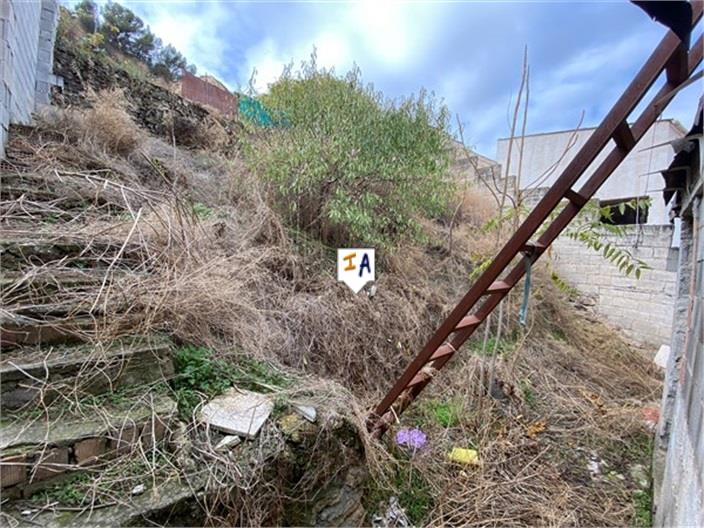 Image No.5-3 Bed House for sale