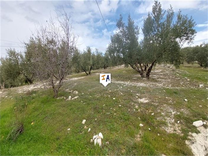 Image No.7-4 Bed Farmhouse for sale