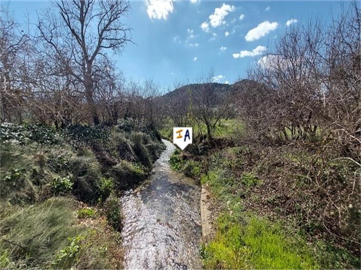 Image No.6-4 Bed House for sale