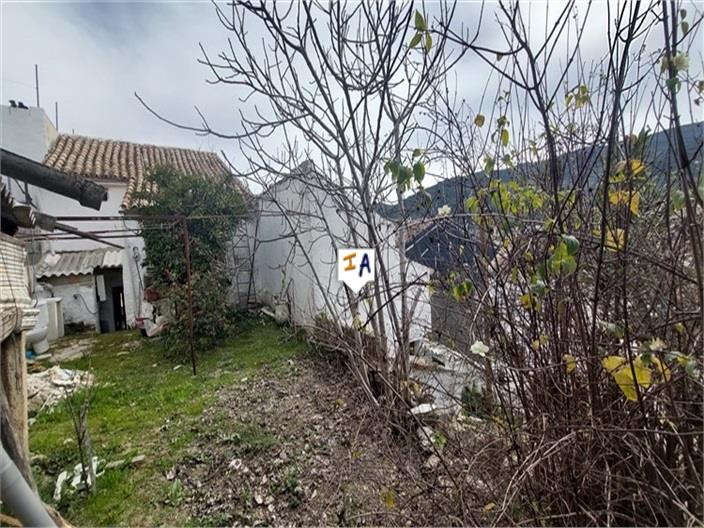 Image No.5-3 Bed House for sale