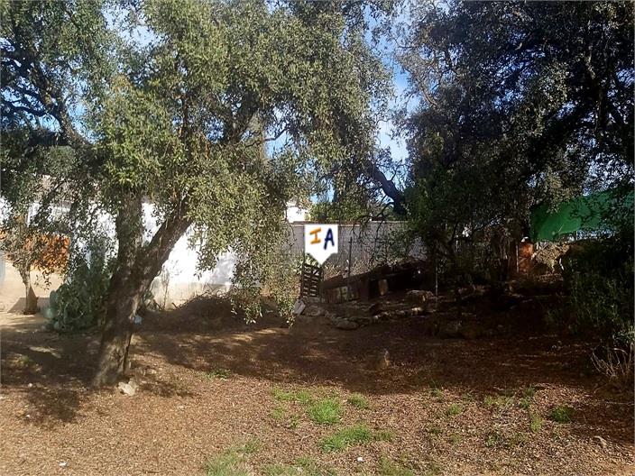 Image No.5-3 Bed House for sale