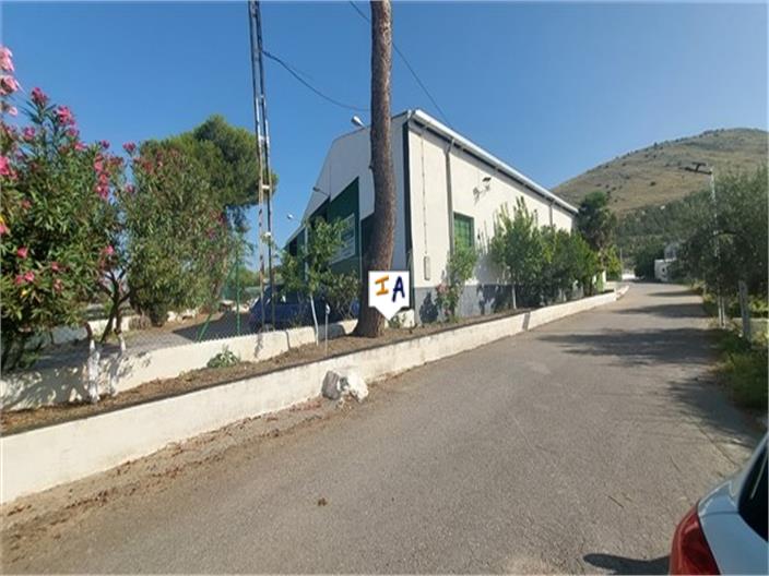 Image No.13-Commercial for sale