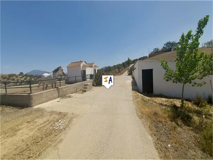 Image No.16-4 Bed House for sale