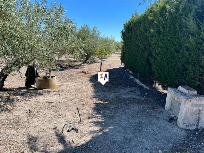 Image No.14-2 Bed Farmhouse for sale