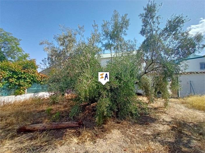 Image No.15-2 Bed Farmhouse for sale