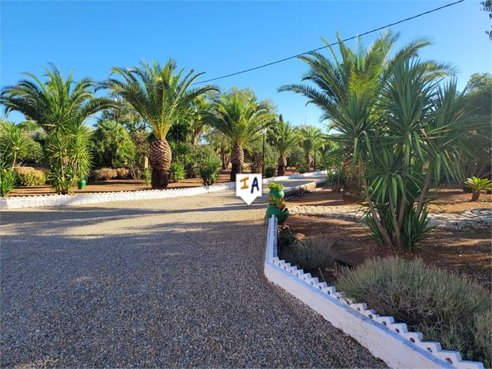 Image No.5-3 Bed Villa for sale