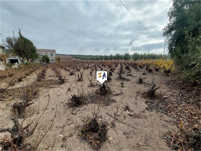 Image No.13-3 Bed House for sale