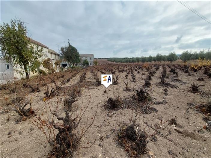 Image No.14-3 Bed House for sale