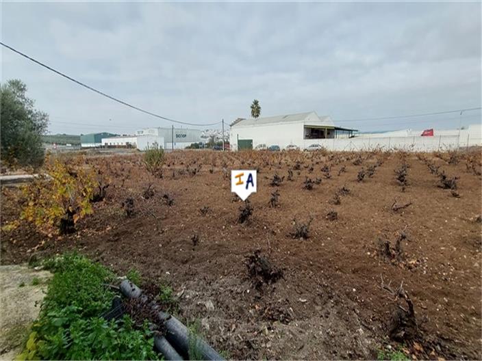 Image No.16-3 Bed House for sale