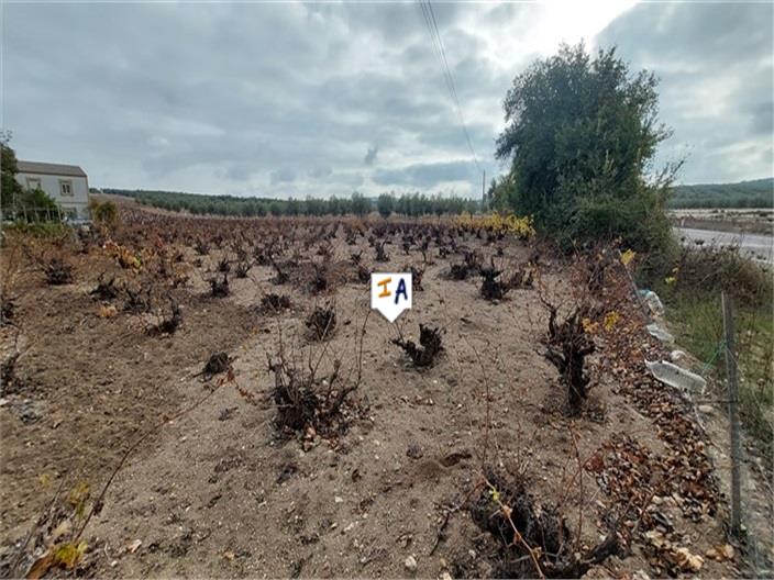 Image No.3-3 Bed House for sale