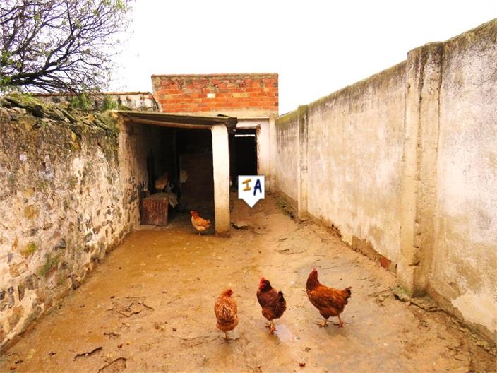 Image No.12-5 Bed House for sale