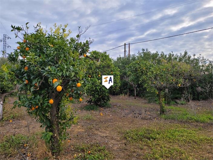 Image No.7-3 Bed House for sale