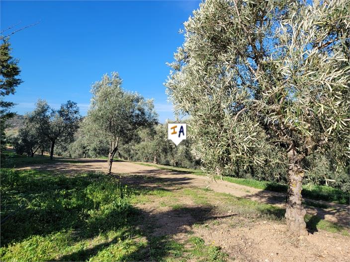 Image No.17-3 Bed Farmhouse for sale