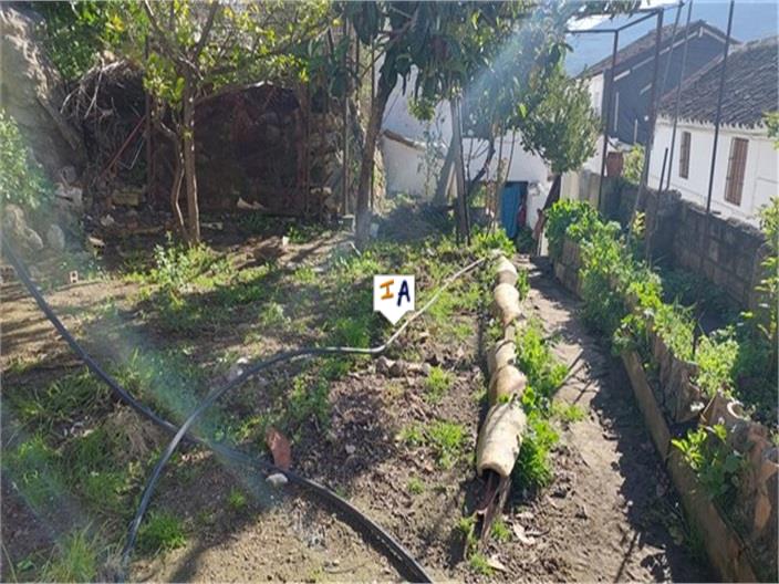 Image No.4-4 Bed House for sale